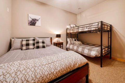 Tiny photo for 210 Meghans Way, Townsend, TN 37882 (MLS # 1298537)