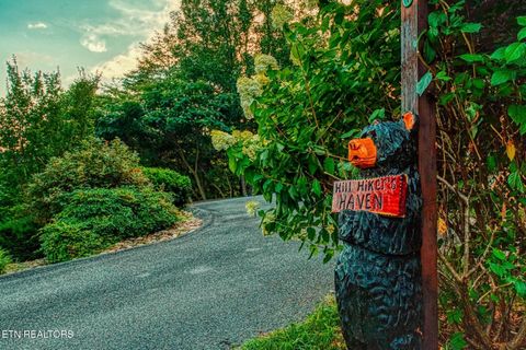 Tiny photo for 210 Meghans Way, Townsend, TN 37882 (MLS # 1298537)