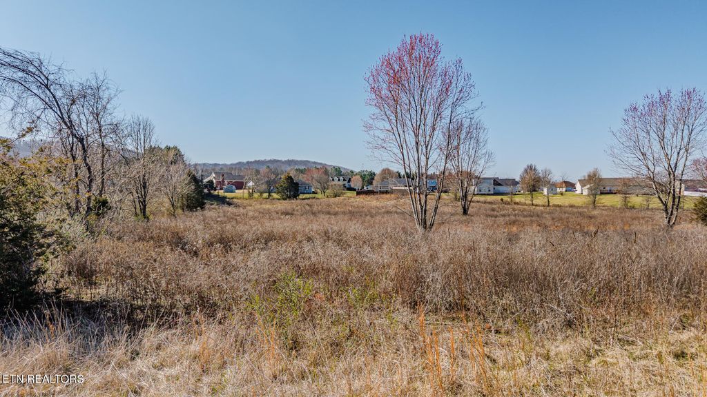 Photo of 864 Old HWY 68, Sweetwater, TN 37874 (MLS # 1293201)