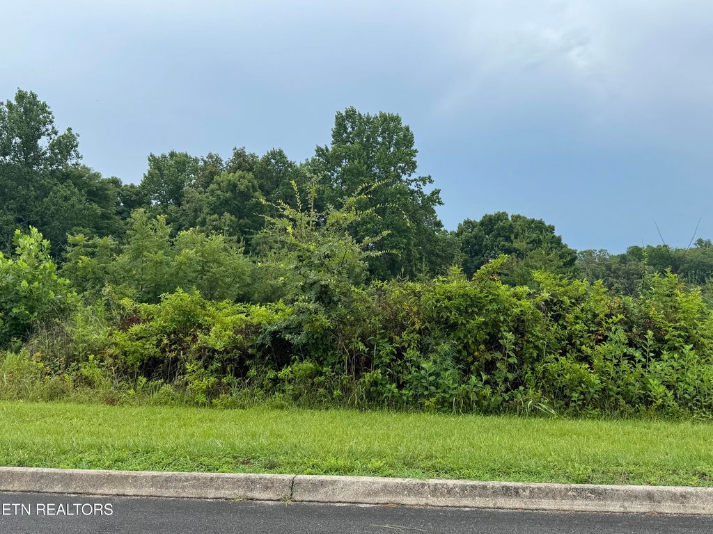 Photo of 0 Evergreen Cove Lot 4 St, Kingston, TN 37763 (MLS # 1347241)