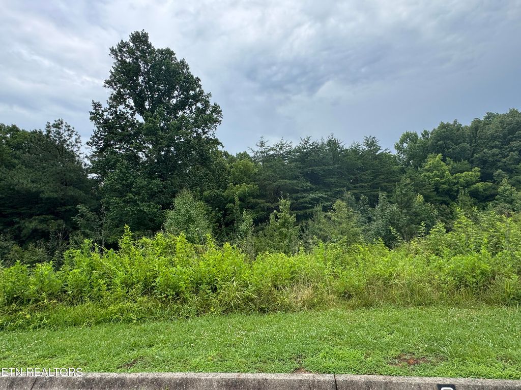 Photo of 0 Evergreen Cove Lot 4 St, Kingston, TN 37763 (MLS # 1347241)