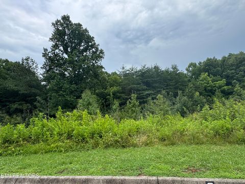 Tiny photo for 0 Evergreen Cove Lot 4 St, Kingston, TN 37763 (MLS # 1347241)