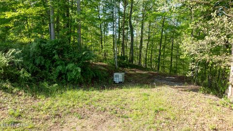 Tiny photo for 120 Huckleberry Lane, Rocky Top, TN 37769 (MLS # 1334764)