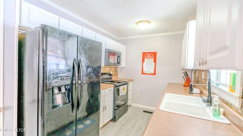 Tiny photo for 120 Huckleberry Lane, Rocky Top, TN 37769 (MLS # 1334764)