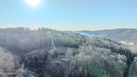 Tiny photo for 120 Huckleberry Lane, Rocky Top, TN 37769 (MLS # 1334764)