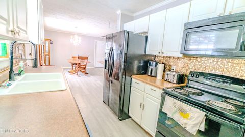 Tiny photo for 120 Huckleberry Lane, Rocky Top, TN 37769 (MLS # 1334764)