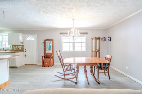 Tiny photo for 120 Huckleberry Lane, Rocky Top, TN 37769 (MLS # 1334764)