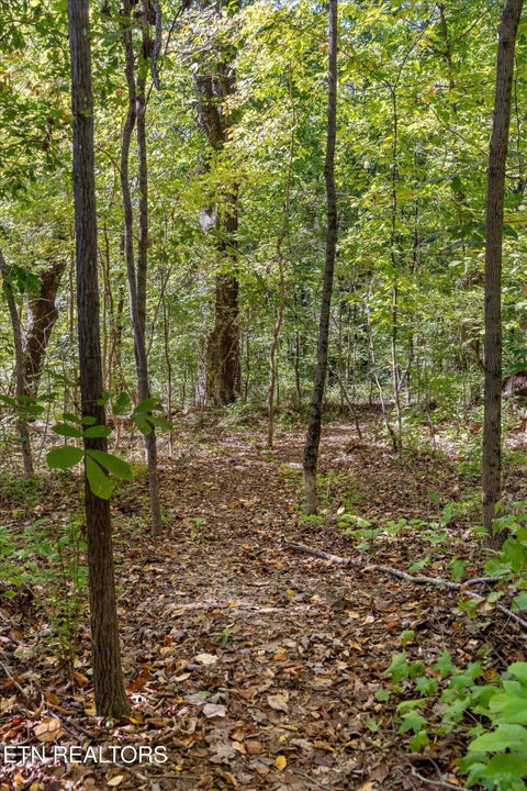 Tiny photo for 1140 Cityscape View, Chattanooga, TN 37405 (MLS # 1359912)