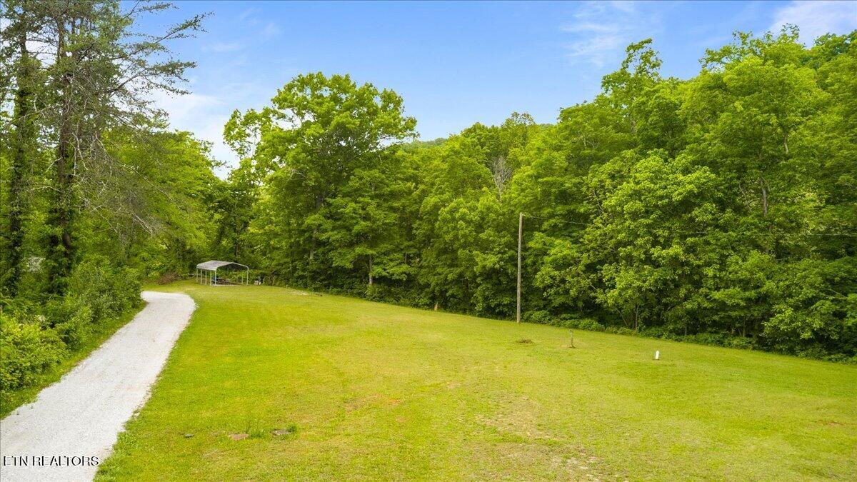 341 Lovely Bluff Rd