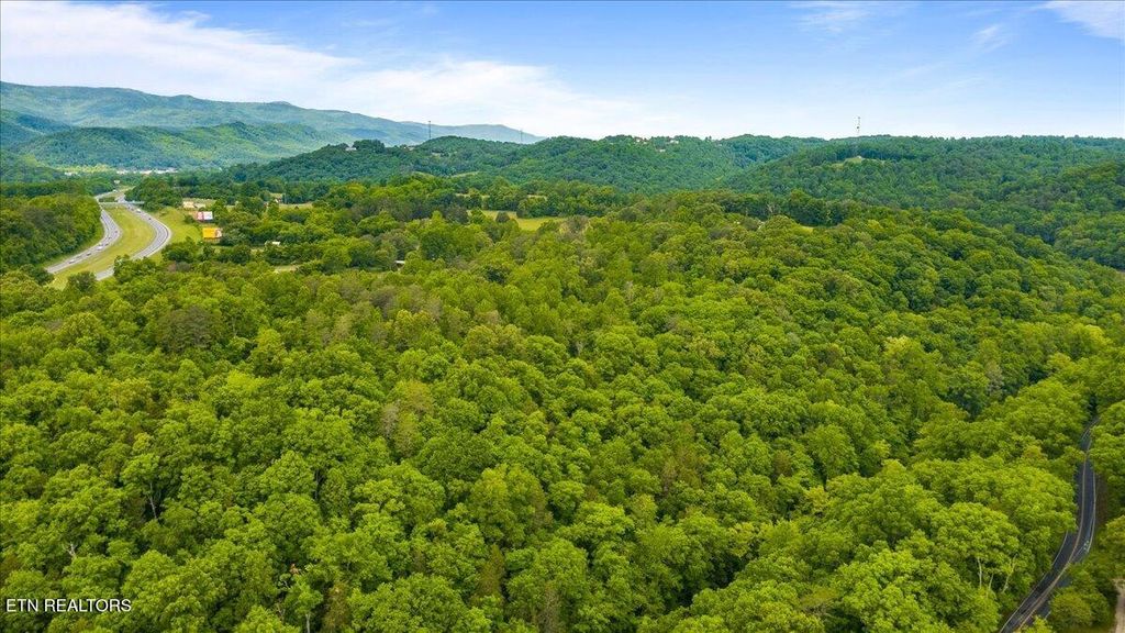 Photo of 341 Lovely Bluff Rd, Rocky Top, TN 37769 (MLS # 1340235)