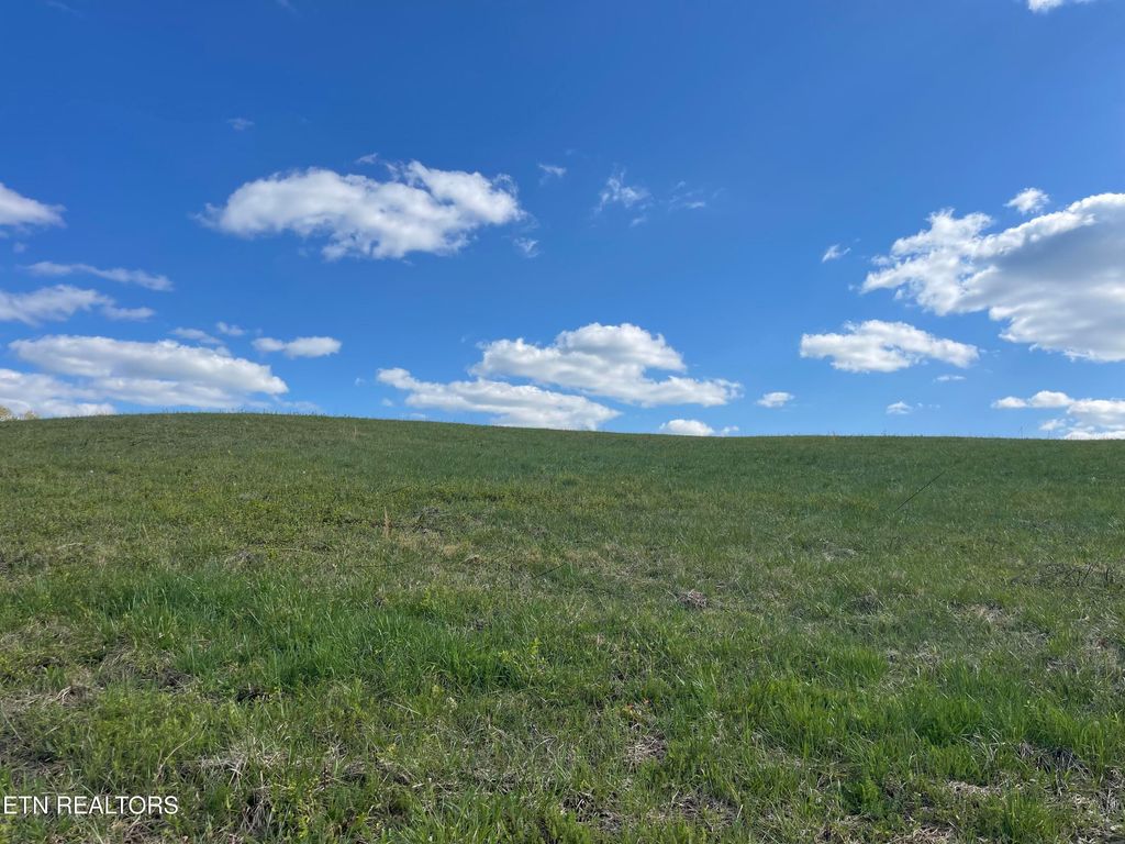 Photo of 2 Laura Boling Loop Rd, Strawberry Plains, TN 37871 (MLS # 1297310)