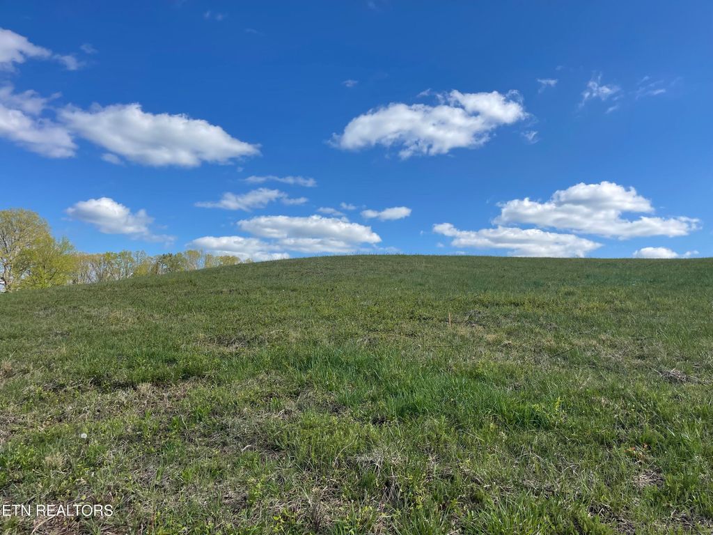 Photo of 2 Laura Boling Loop Rd, Strawberry Plains, TN 37871 (MLS # 1297310)