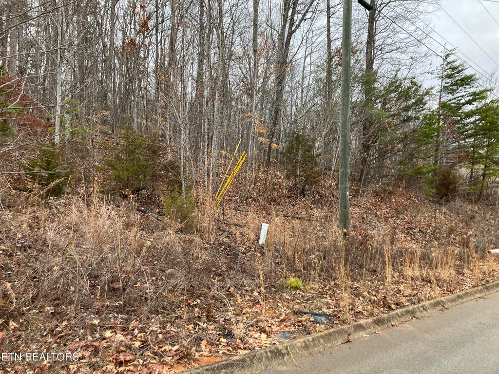 Photo of 41 Signet Lane, Maynardville, TN 37807 (MLS # 1251268)