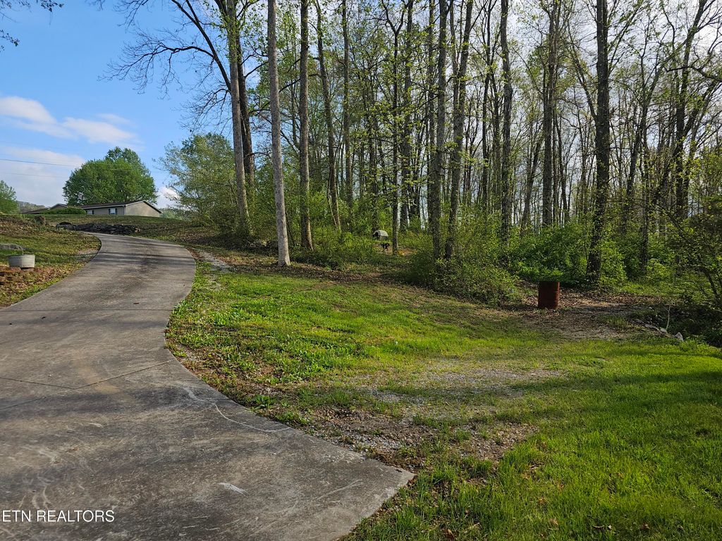 Photo of 298 Lizzie Drive, Tazewell, TN 37879 (MLS # 1296182)