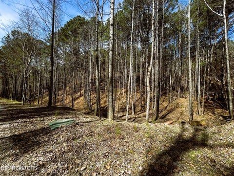 Tiny photo for 2 SW Owl Hollow, McDonald, TN 37353 (MLS # 1359525)