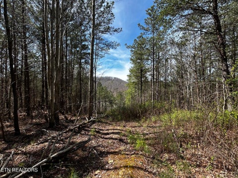 Tiny photo for 2 SW Owl Hollow, McDonald, TN 37353 (MLS # 1359525)