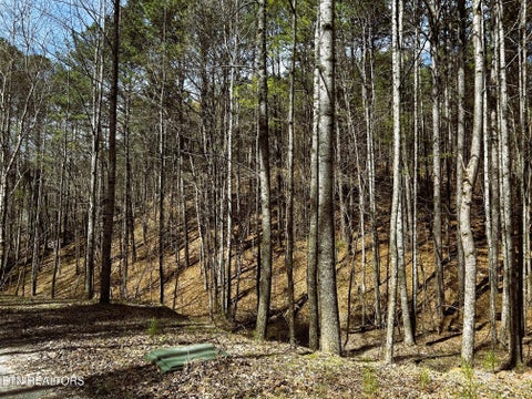 Tiny photo for 2 SW Owl Hollow, McDonald, TN 37353 (MLS # 1359525)