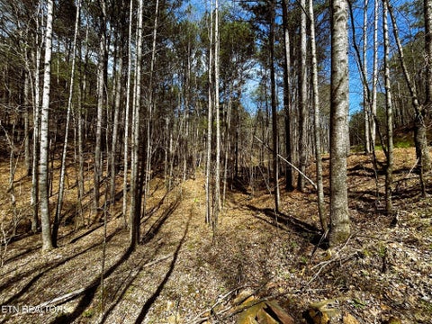 Tiny photo for 2 SW Owl Hollow, McDonald, TN 37353 (MLS # 1359525)