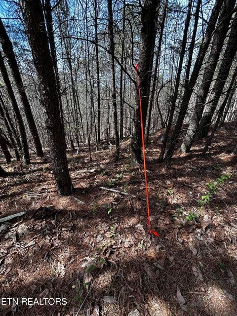 Tiny photo for 2 SW Owl Hollow, McDonald, TN 37353 (MLS # 1359525)