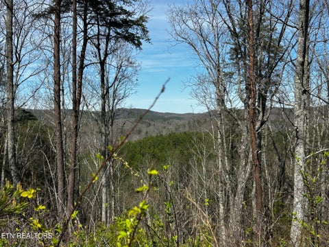 Tiny photo for 2 SW Owl Hollow, McDonald, TN 37353 (MLS # 1359525)