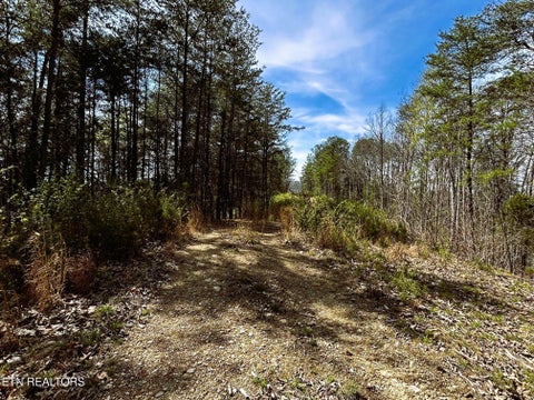 Tiny photo for 2 SW Owl Hollow, McDonald, TN 37353 (MLS # 1359525)