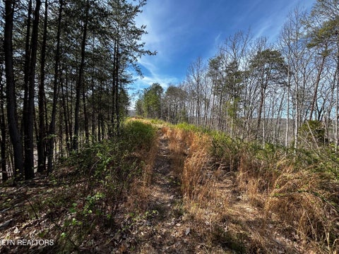 Tiny photo for 2 SW Owl Hollow, McDonald, TN 37353 (MLS # 1359525)