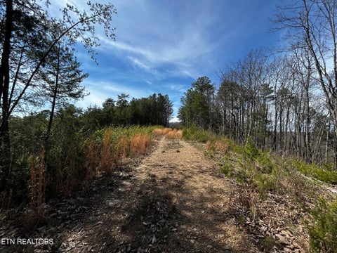 Tiny photo for 2 SW Owl Hollow, McDonald, TN 37353 (MLS # 1359525)