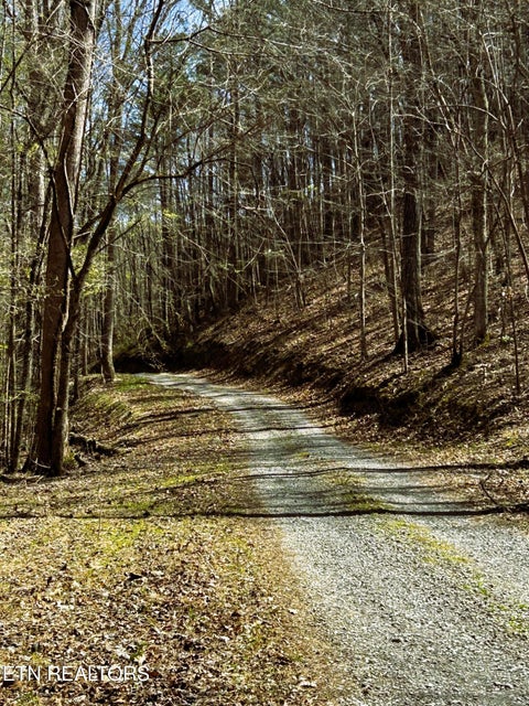 Tiny photo for 2 SW Owl Hollow, McDonald, TN 37353 (MLS # 1359525)