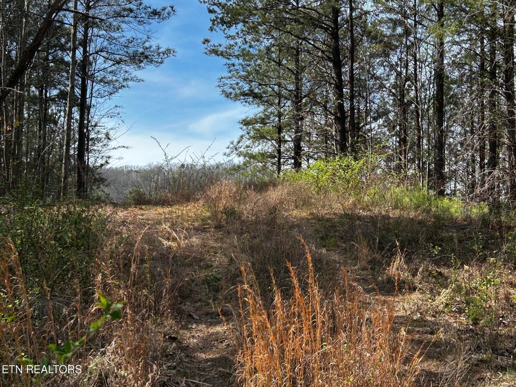 Photo of 2 SW Owl Hollow, McDonald, TN 37353 (MLS # 1359525)