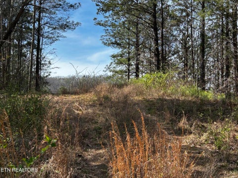 Tiny photo for 2 SW Owl Hollow, McDonald, TN 37353 (MLS # 1359525)