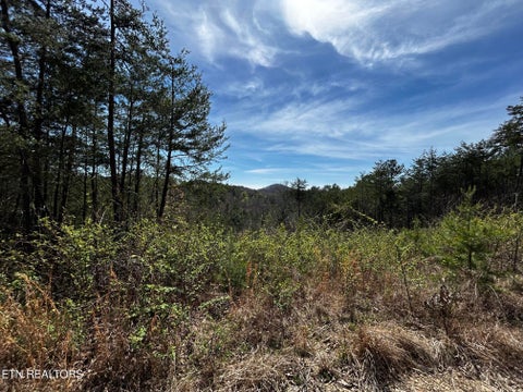 Tiny photo for 2 SW Owl Hollow, McDonald, TN 37353 (MLS # 1359525)