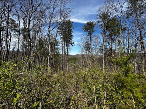 Tiny photo for 2 SW Owl Hollow, McDonald, TN 37353 (MLS # 1359525)