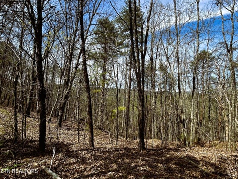 Tiny photo for 2 SW Owl Hollow, McDonald, TN 37353 (MLS # 1359525)