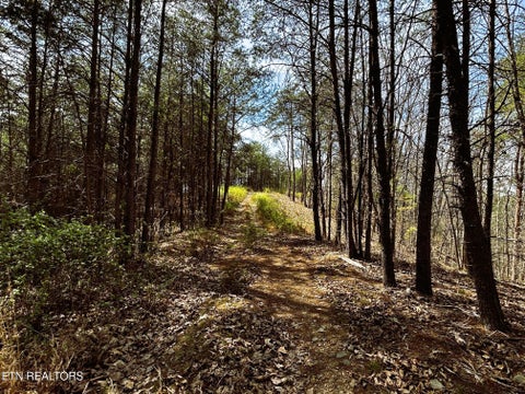 Tiny photo for 2 SW Owl Hollow, McDonald, TN 37353 (MLS # 1359525)