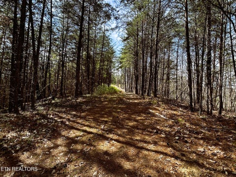 Tiny photo for 2 SW Owl Hollow, McDonald, TN 37353 (MLS # 1359525)