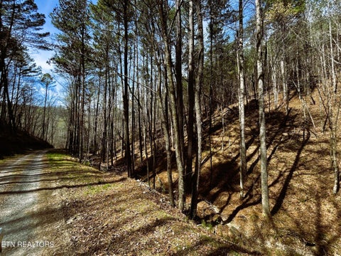 Tiny photo for 2 SW Owl Hollow, McDonald, TN 37353 (MLS # 1359525)