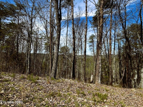 Tiny photo for 2 SW Owl Hollow, McDonald, TN 37353 (MLS # 1359525)