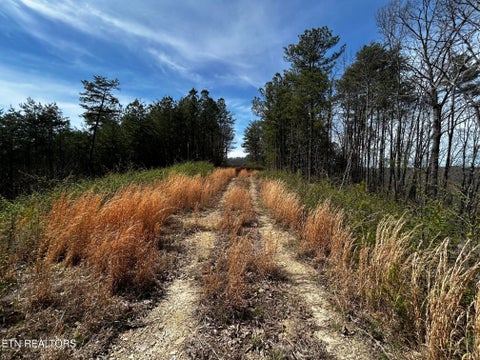 Photo of 2 SW Owl Hollow, McDonald, TN 37353 (MLS # 1359525)
