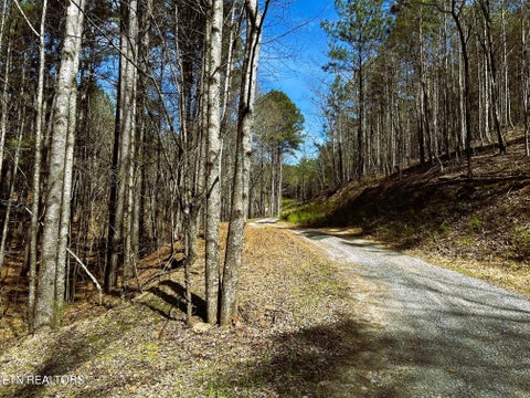 Tiny photo for 2 SW Owl Hollow, McDonald, TN 37353 (MLS # 1359525)