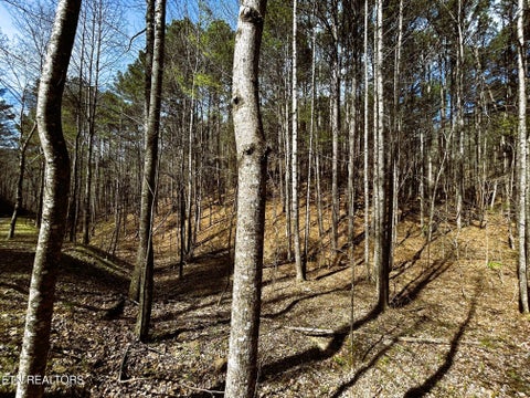 Tiny photo for 2 SW Owl Hollow, McDonald, TN 37353 (MLS # 1359525)