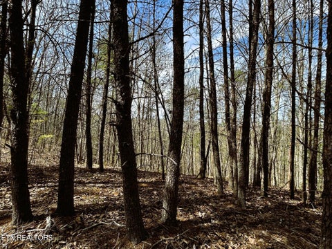 Tiny photo for 2 SW Owl Hollow, McDonald, TN 37353 (MLS # 1359525)
