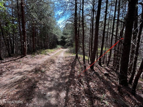 Tiny photo for 2 SW Owl Hollow, McDonald, TN 37353 (MLS # 1359525)