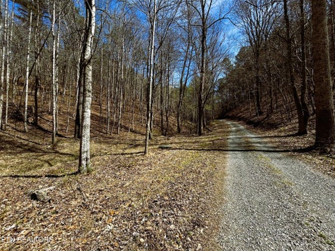 Tiny photo for 2 SW Owl Hollow, McDonald, TN 37353 (MLS # 1359525)