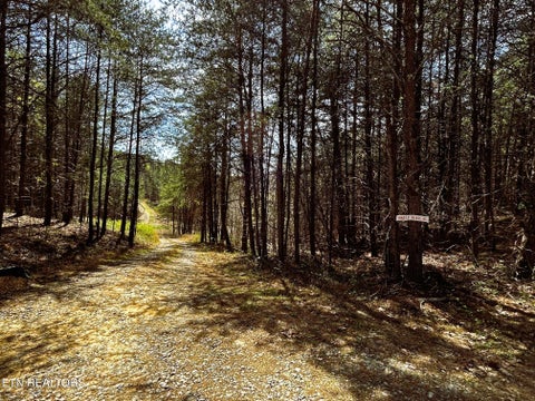Tiny photo for 2 SW Owl Hollow, McDonald, TN 37353 (MLS # 1359525)