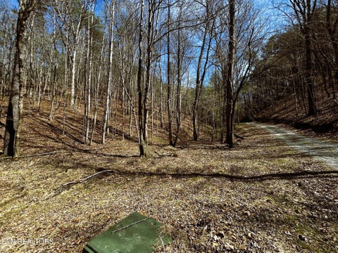 Tiny photo for 2 SW Owl Hollow, McDonald, TN 37353 (MLS # 1359525)
