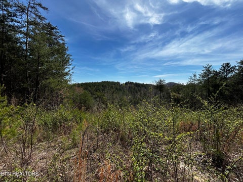 Tiny photo for 2 SW Owl Hollow, McDonald, TN 37353 (MLS # 1359525)