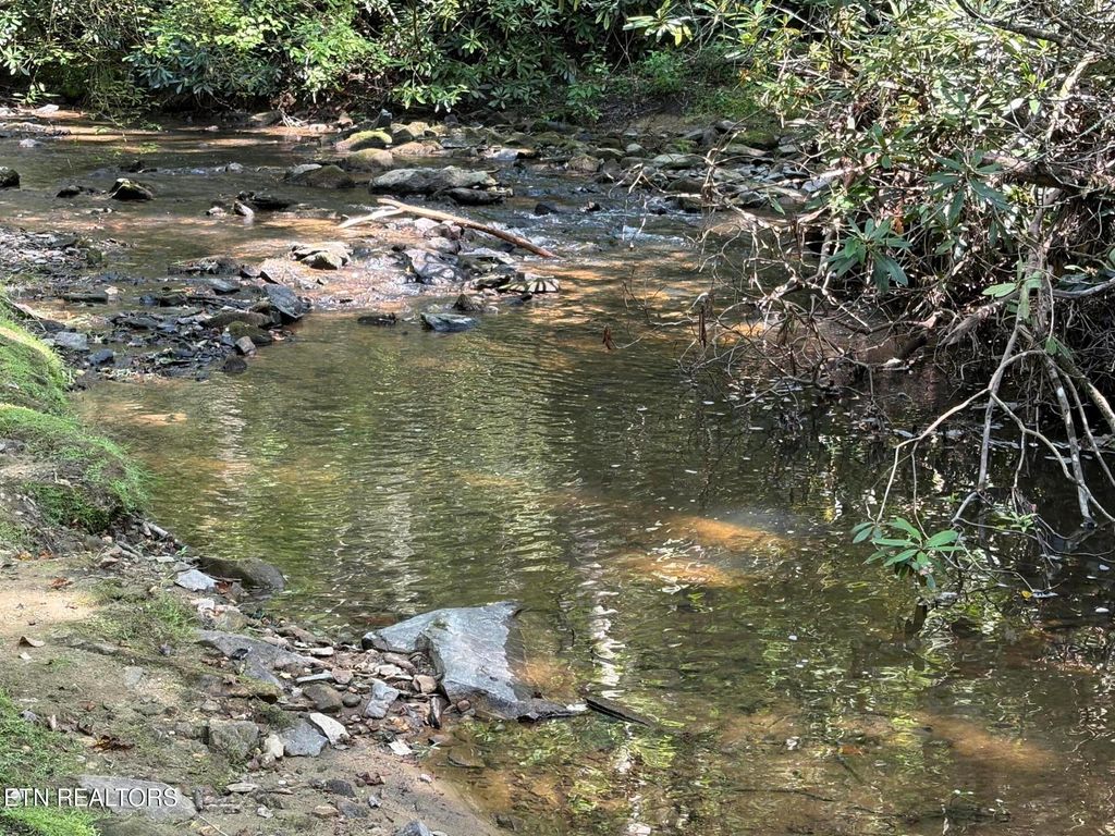 Photo of 219 Gold Miners Rd, Tellico Plains, TN 37385 (MLS # 1310403)