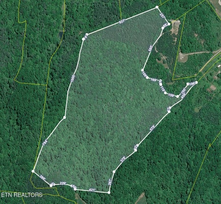 139 ROCKY BRANCH RD, RUTLEDGE, TN 37861 - Image 3a8cc87a08d3d366ee0a6fa8e356c450/1816997611