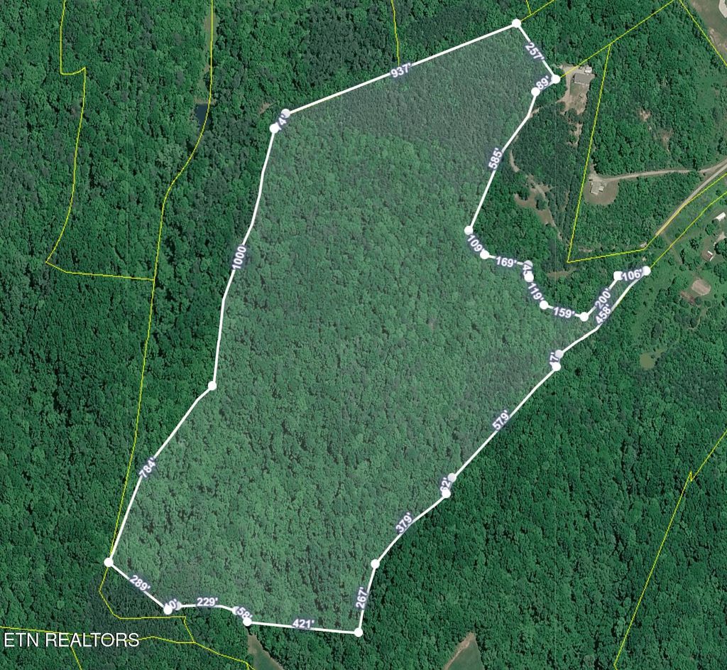 Photo of 51 off Rocky Branch Rd, Rutledge, TN 37861 (MLS # 1349451)