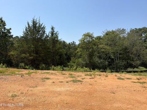 Tiny photo for Lot 19 Silver Cedar Lane, Knoxville, TN 37932 (MLS # 1346812)